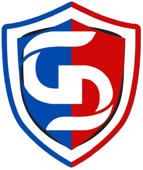 DataSentry Solutions Logo